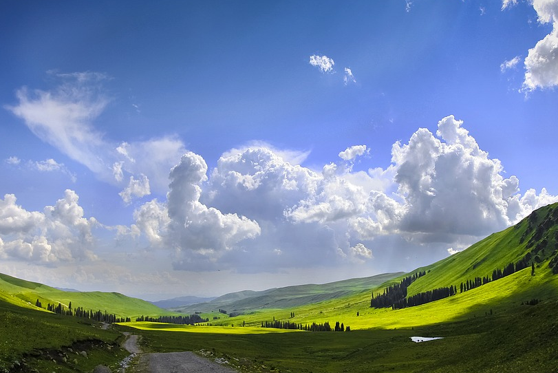 ���ͻ�֮�á���ɽ�Ӵ�Ͽ�� ����ľ�� �¶����ӻ��� �������ԭ����������ɽ ����������ɽ ��ɽ��ذ�����