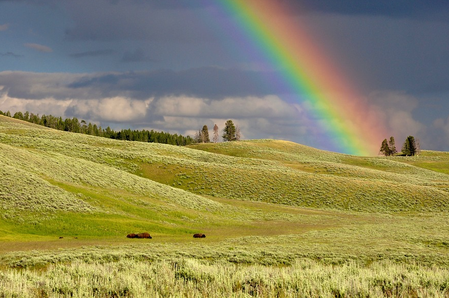 ���콾ʢ�硿������˹���ɼ�˼������������ϣ�����ʲ�ԭ�����ͺ���Ʒ��˫��5����